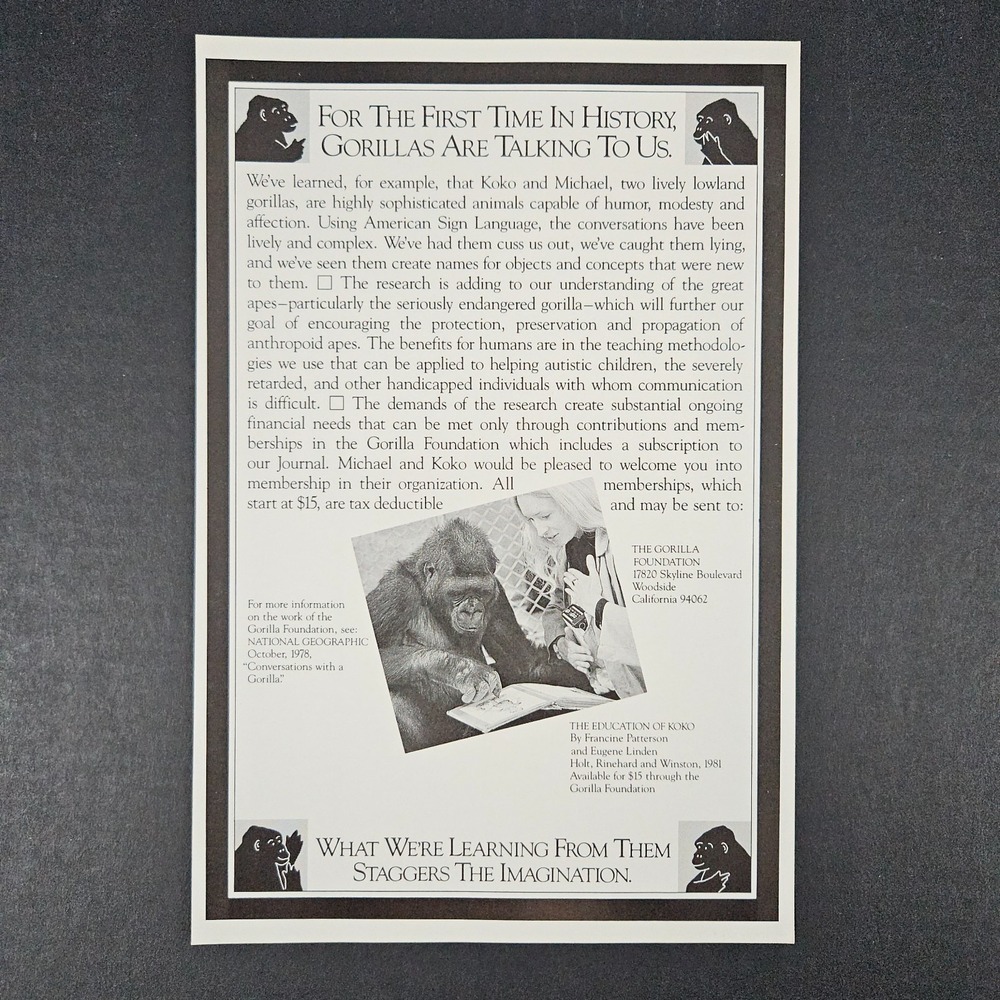 1984 Education of Koko by Francine Patterson Eugene Linden Book Vintage Print Ad